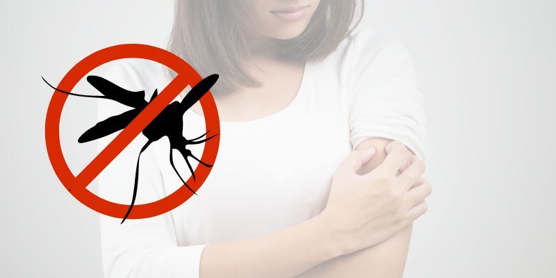 Spotlight Template- Mosquito